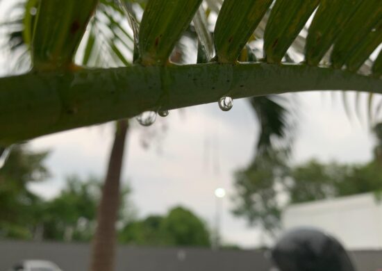 Previsão do tempo : Gota de chuva em Manaus - Foto: Rebeca Nunes/GNC