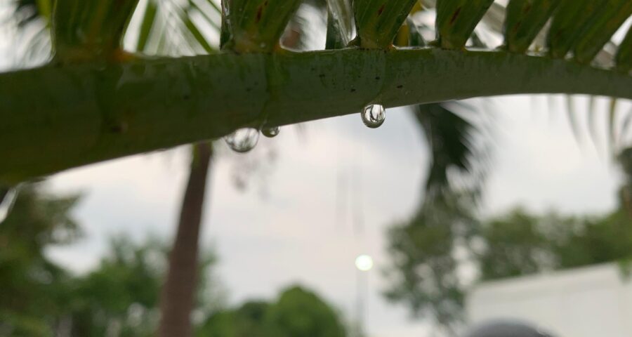 Previsão do tempo : Gota de chuva em Manaus - Foto: Rebeca Nunes/GNC