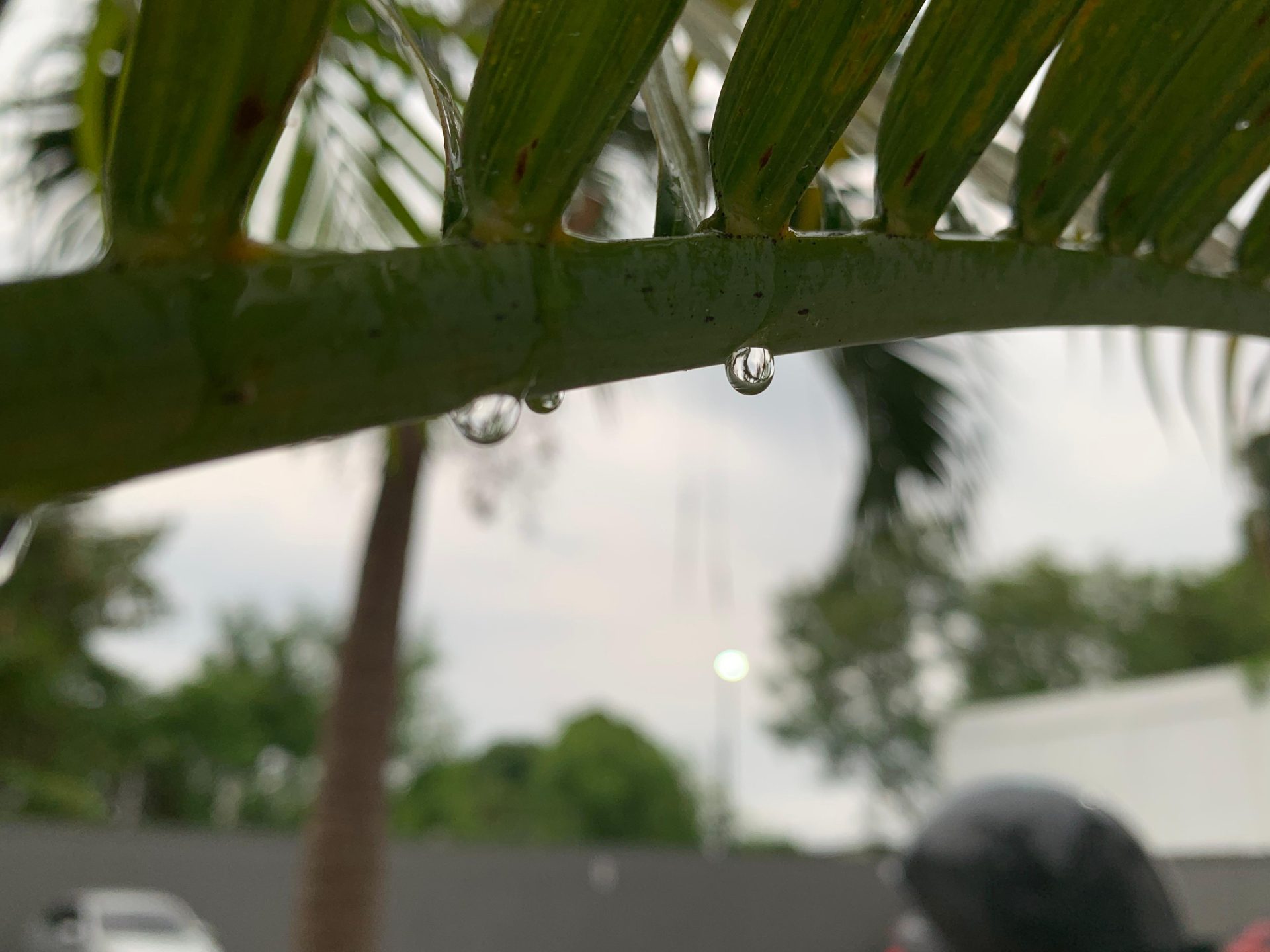 Previsão do tempo : Gota de chuva em Manaus - Foto: Rebeca Nunes/GNC