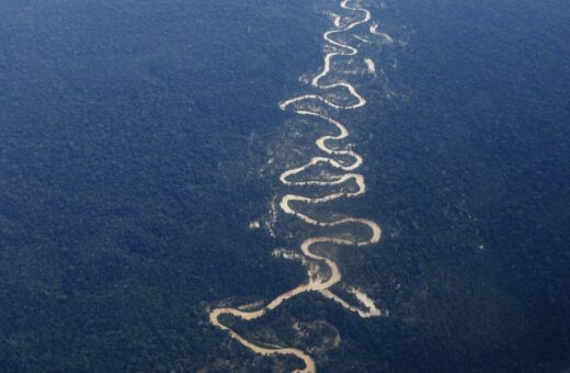 Grupo de Trabalho analisa emprego das Forças Armadas nas fronteiras da Amazônia