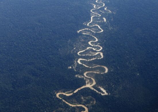 Grupo de Trabalho analisa emprego das Forças Armadas nas fronteiras da Amazônia