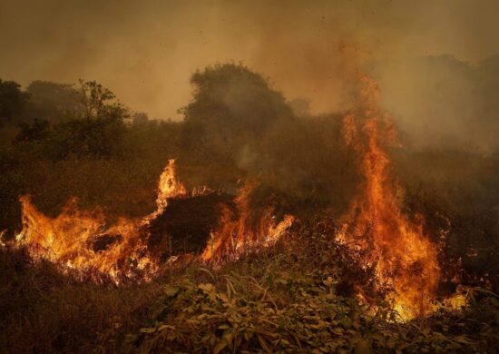 Incêndios atingiu o Parque Estadual Encontro das Águas, que detém a maior concentração de onças-pintadas do mundo - Foto: Reprodução/twitter@BiodiversidadeB