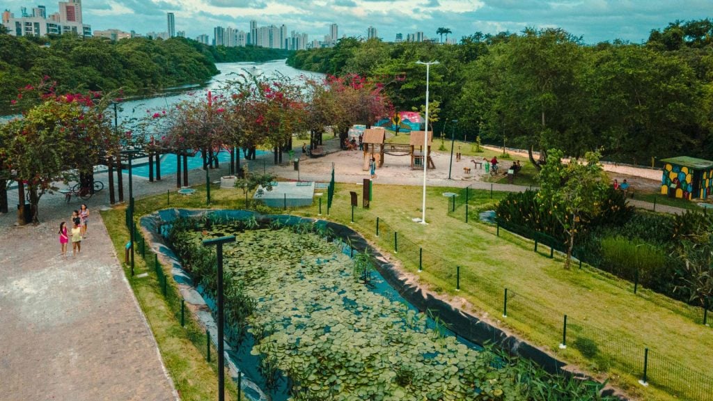 Lagoa plantada como parte do projeto Jardins Filtrantes - Foto: Cedida pela Aries