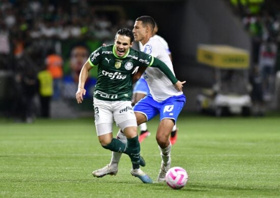 Partida entre Palmeiras x Bahia, valida trigesima rodada do Campeonato Brasileiro, realizado no Allianz Parque, zona oeste de Sao Paulo, neste sábado (28) - Foto: Eduardo Carmim/Agência O Dia/Agência O Dia/Estadão Conteúdo