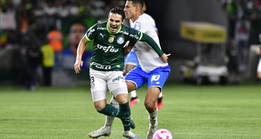 Partida entre Palmeiras x Bahia, valida trigesima rodada do Campeonato Brasileiro, realizado no Allianz Parque, zona oeste de Sao Paulo, neste sábado (28) - Foto: Eduardo Carmim/Agência O Dia/Agência O Dia/Estadão Conteúdo