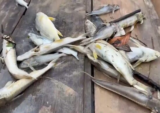 Após morte misteriosa de peixes, rio passa por avaliação de qualidade no AC