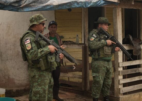 Força-tarefa vem sendo realizada para combater queimadas e desmatamento ilegais