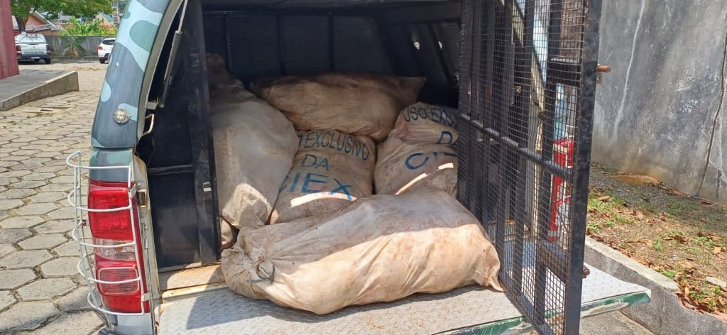 Homem é preso com 680kg de pirarucu ilegal no Porto de Manaus