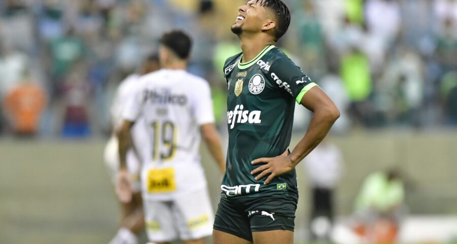 Partida entre Palmeiras x Santos na Arena Barueri em São Paulo - Foto: Eduardo Carmim/Agência o Dia/Estadão Conteúdo