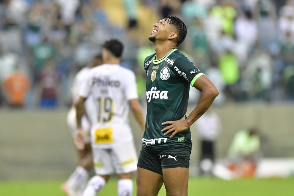 Partida entre Palmeiras x Santos na Arena Barueri em São Paulo - Foto: Eduardo Carmim/Agência o Dia/Estadão Conteúdo