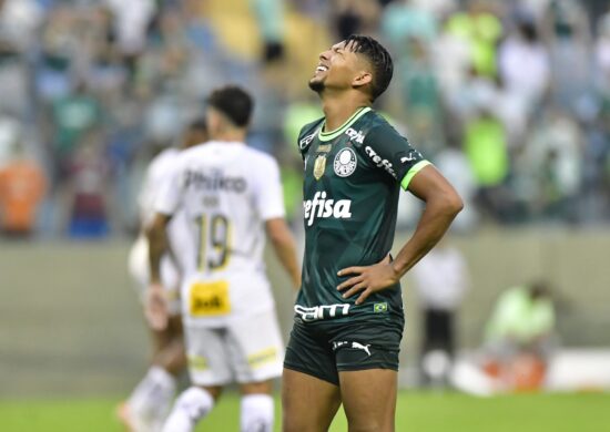 Partida entre Palmeiras x Santos na Arena Barueri em São Paulo - Foto: Eduardo Carmim/Agência o Dia/Estadão Conteúdo