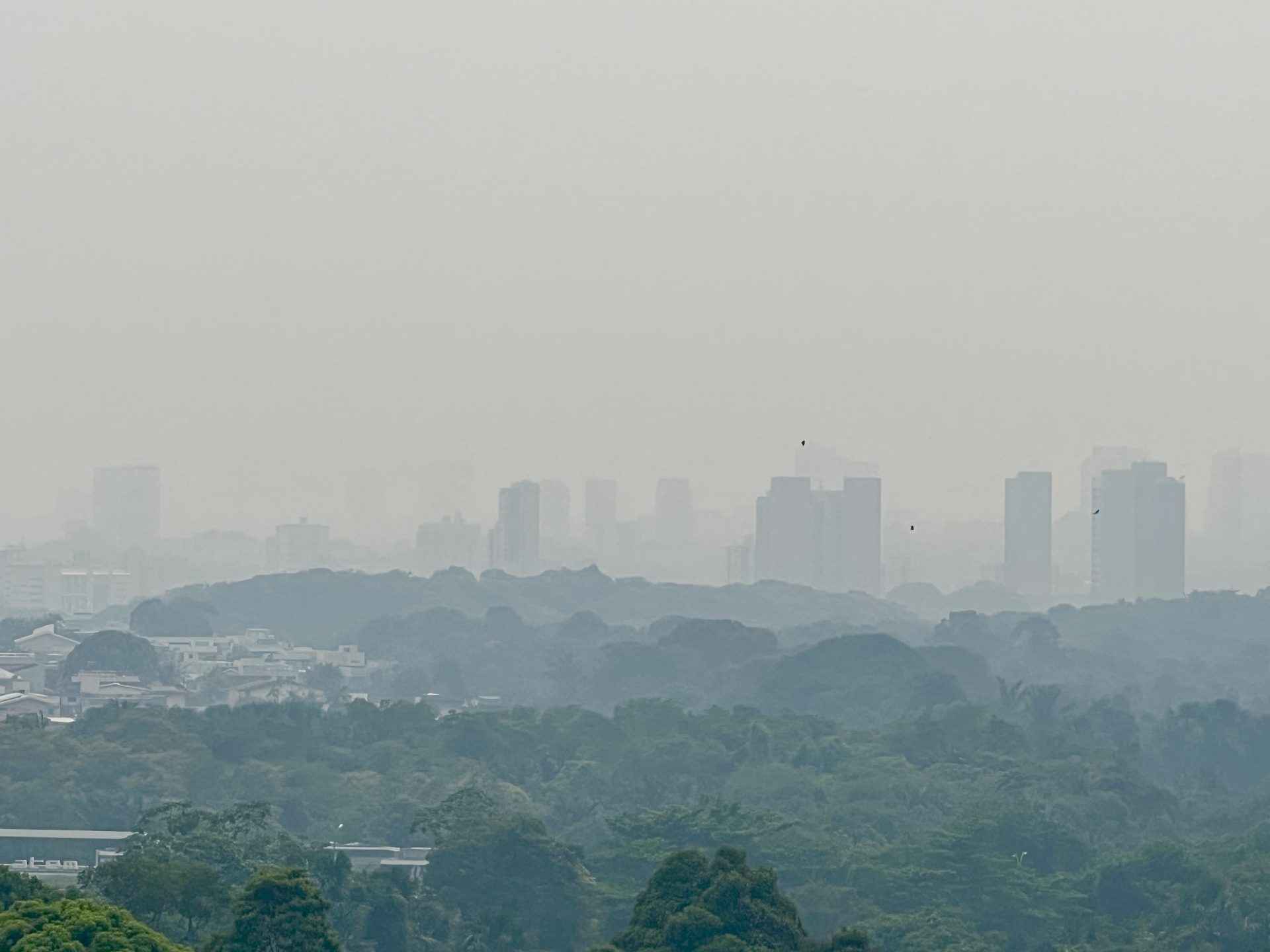 e Queimadas na floresta continuam e Manaus tem domingo com fumaça intensa no ar