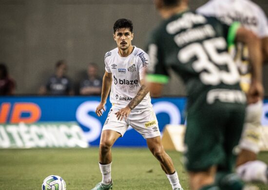 Jogo do Santos no Palmeiras no Brasileirão - Foto: Divulgação/Santos