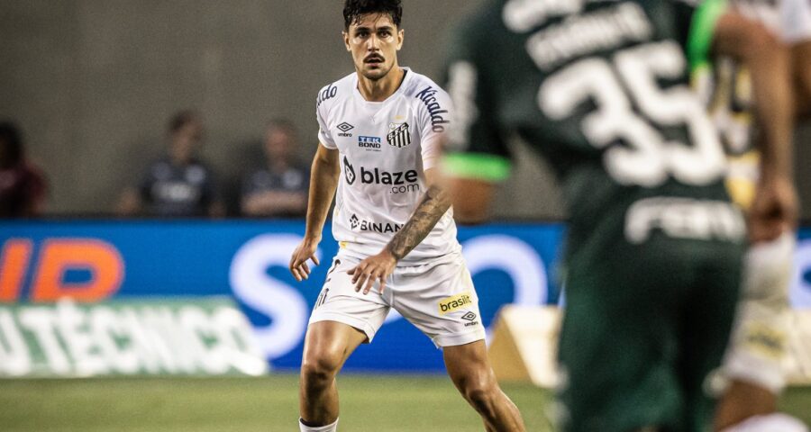 Jogo do Santos no Palmeiras no Brasileirão - Foto: Divulgação/Santos