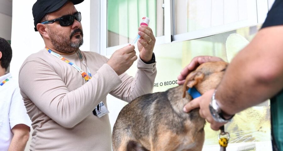 Vacinação Antirrábica Animal em Manaus - Foto: Foto: Dhyeizo Lemos / Semcom