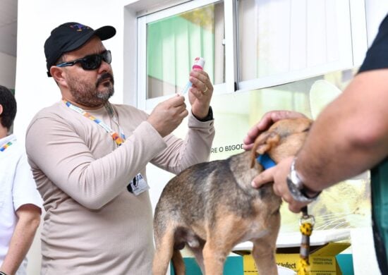 Vacinação Antirrábica Animal em Manaus - Foto: Foto: Dhyeizo Lemos / Semcom