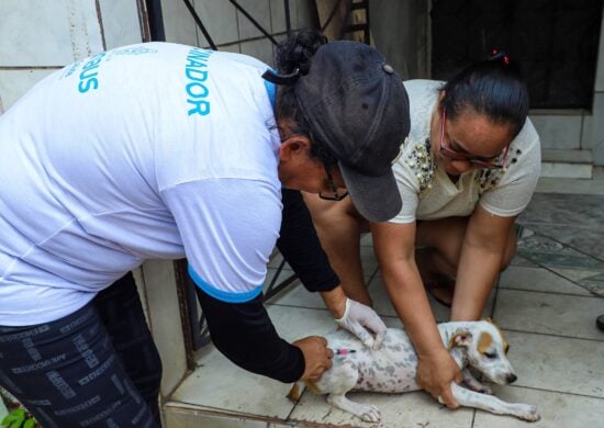 Vacinação Antirrábica Animal em Manaus - Foto: Jony Clay Borges / Semsa