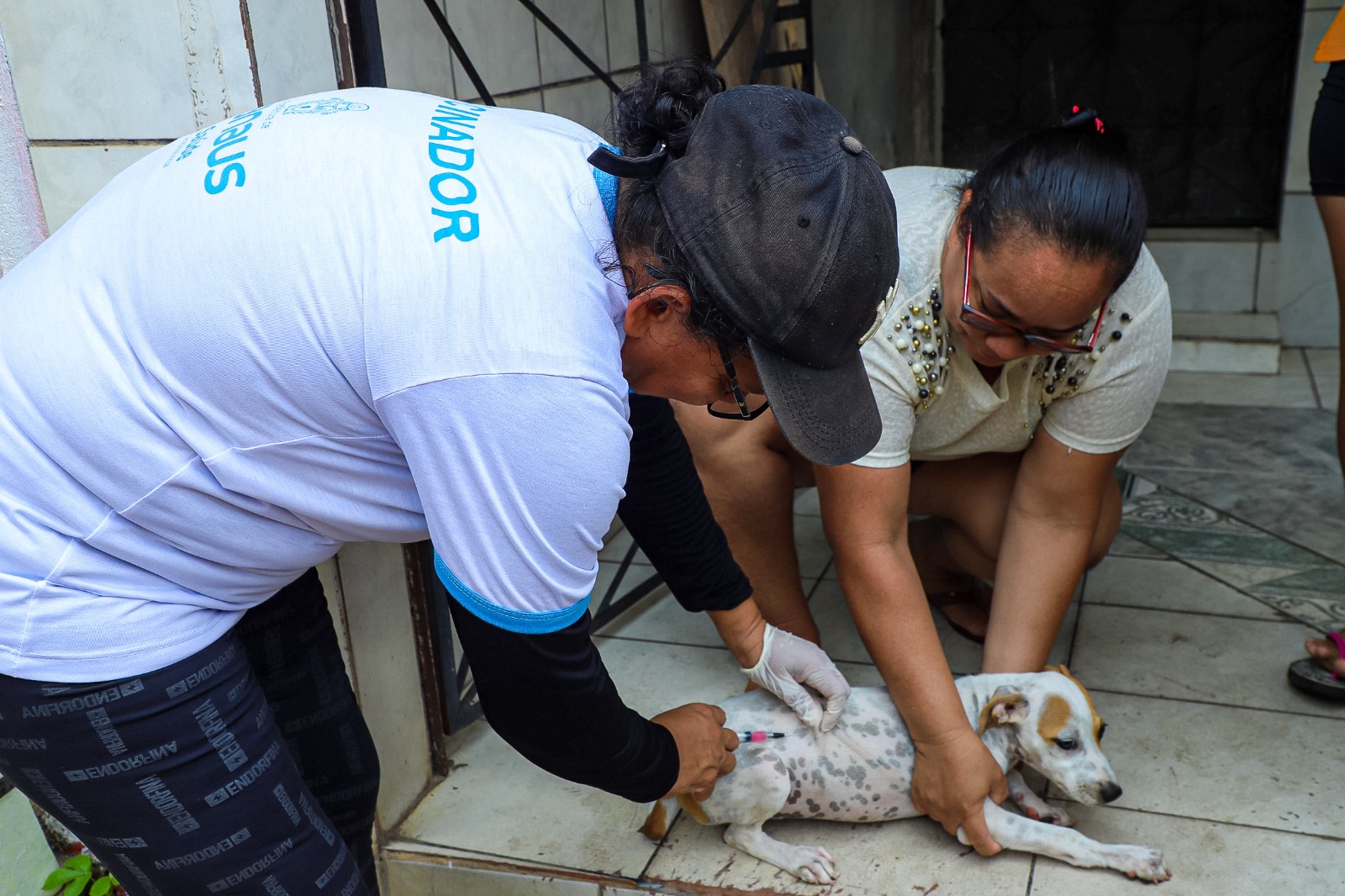 Vacinação Antirrábica Animal em Manaus - Foto: Jony Clay Borges / Semsa
