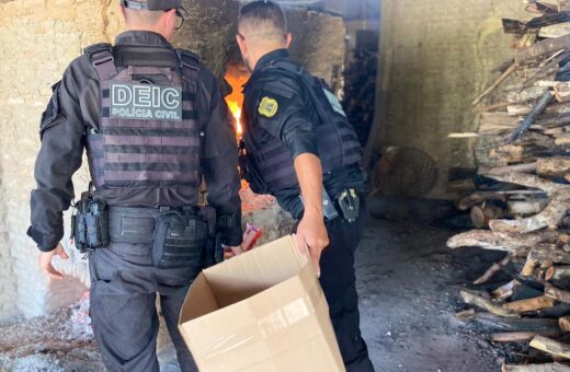 Polícia Civil incinera 61,5 kg de drogas em ação contra o tráfico no Tocantins