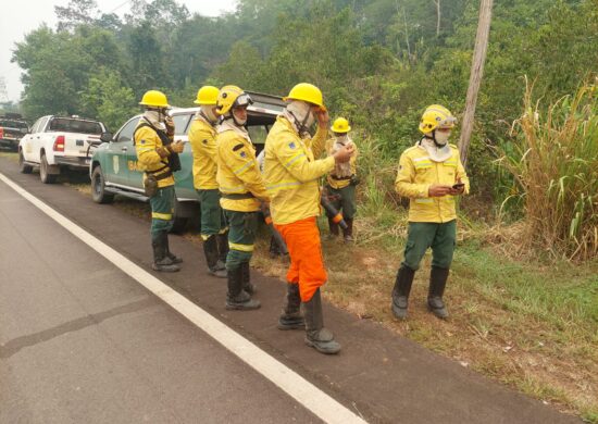 Brigadistas usam sopradores para conter fogo na rodovia - Foto: Divulgação/Ibama