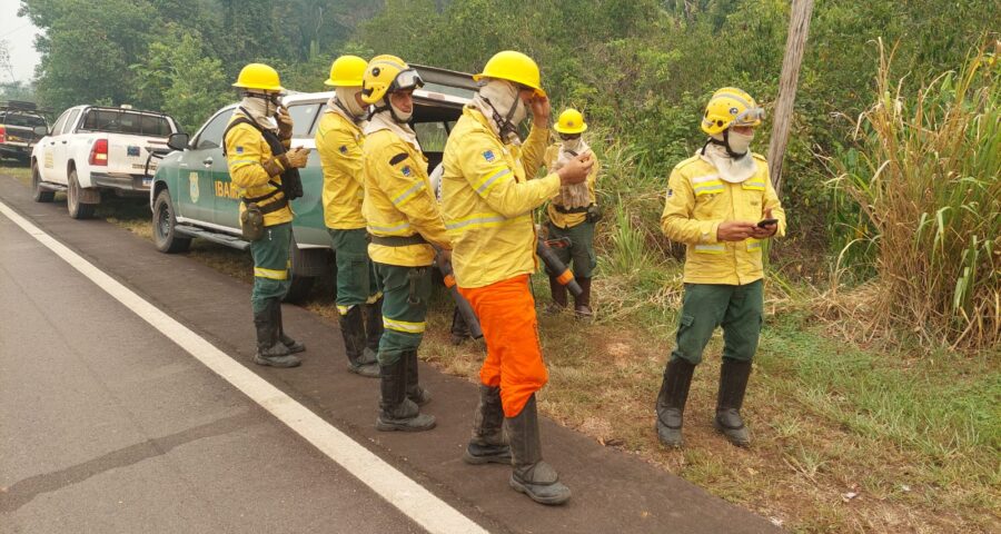 Brigadistas usam sopradores para conter fogo na rodovia - Foto: Divulgação/Ibama