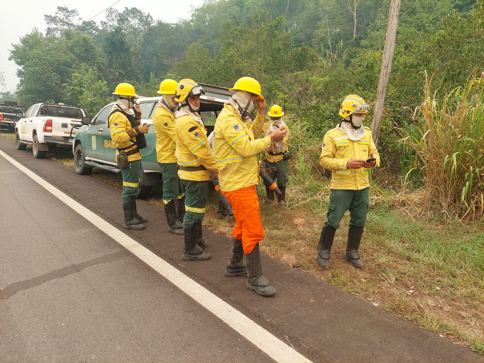 Brigadistas usam sopradores para conter fogo na rodovia - Foto: Divulgação/Ibama