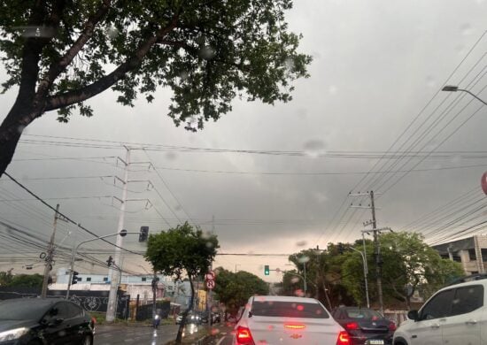 Equipes realizam atendimentos após forte chuva em Manaus - Foto: Francisco Santos/Portal Norte