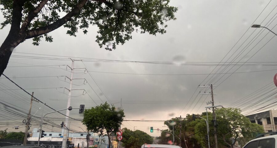 Equipes realizam atendimentos após forte chuva em Manaus - Foto: Francisco Santos/Portal Norte