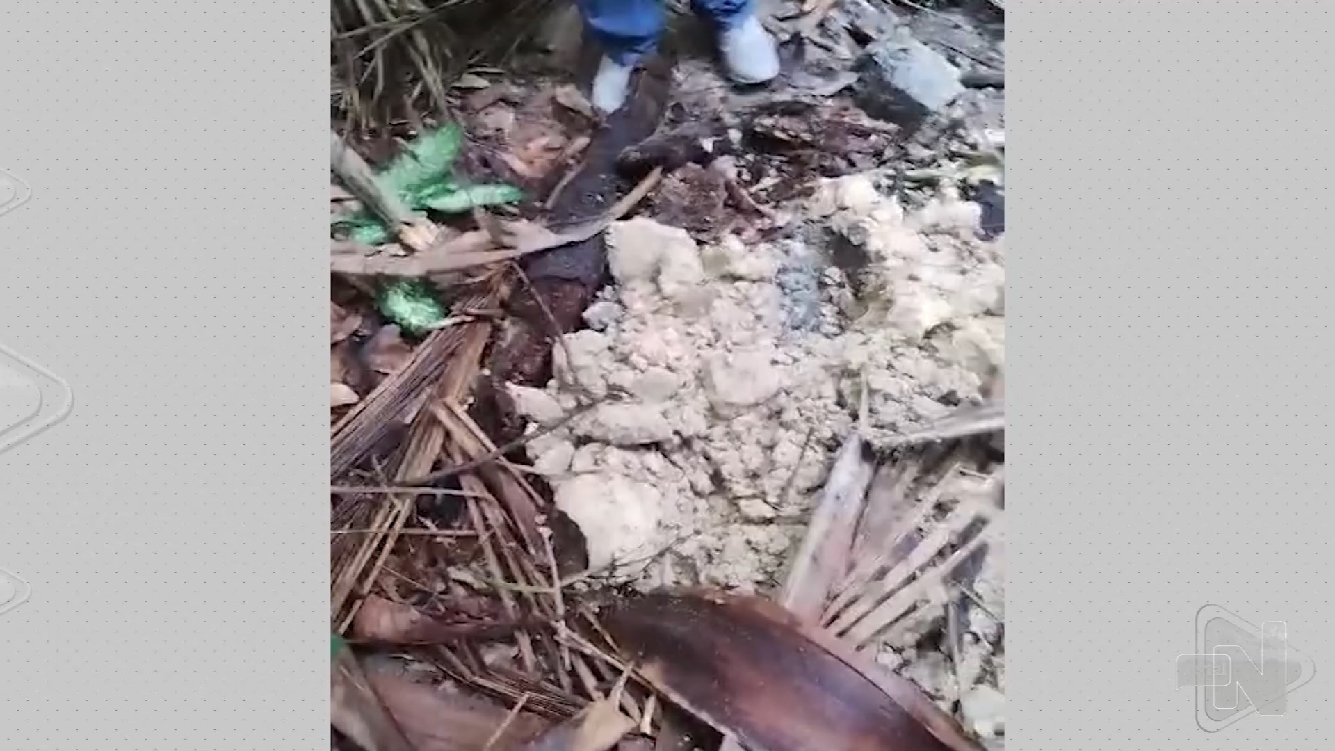 VÍDEO: corpo de homem desaparecido é encontrado em área de mata de Manaus 