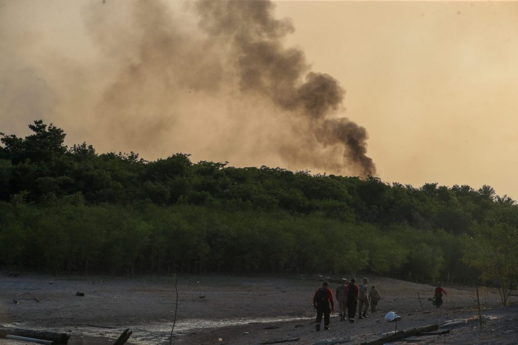Boletim da Seca aborda dados de incêndios florestais - Foto: Mauro Neto/Secom