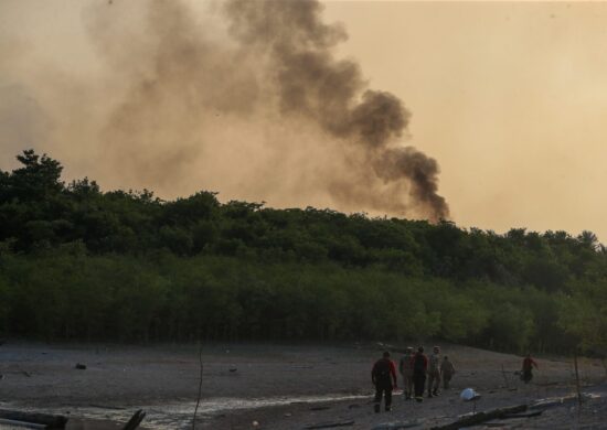 Boletim da Seca aborda dados de incêndios florestais - Foto: Mauro Neto/Secom