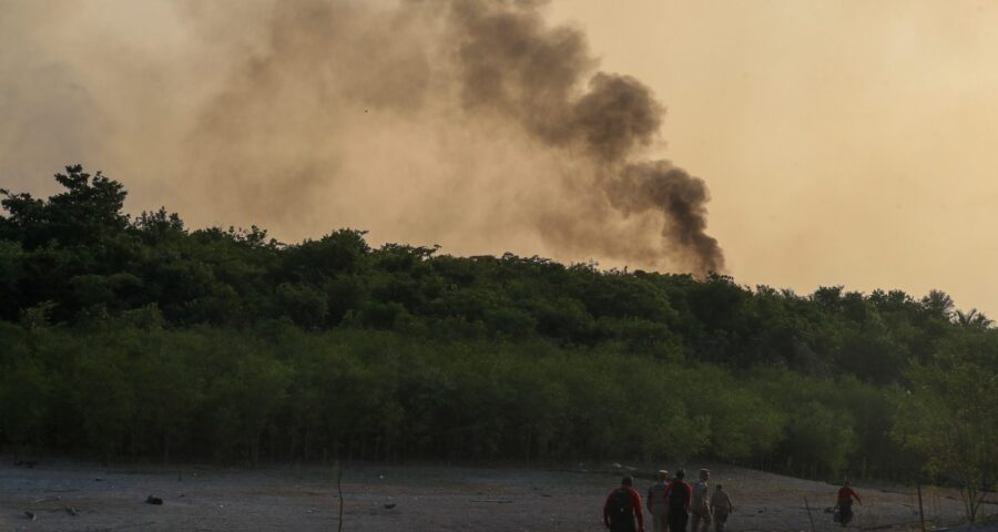 Boletim da Seca aborda dados de incêndios florestais - Foto: Mauro Neto/Secom