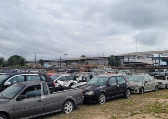 Detran promove novo leilão virtual de 342 veículos apreendidos em Roraima