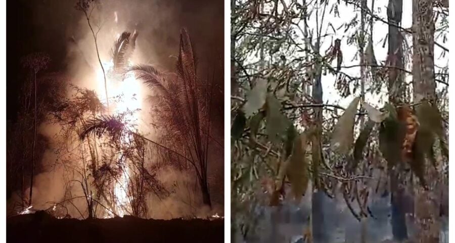 Fogo se alastra por área de vegetação no Careiro - Foto: Reprodução/WhatsApp