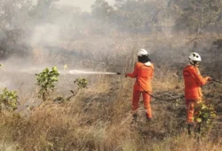 Queimadas em Roraima