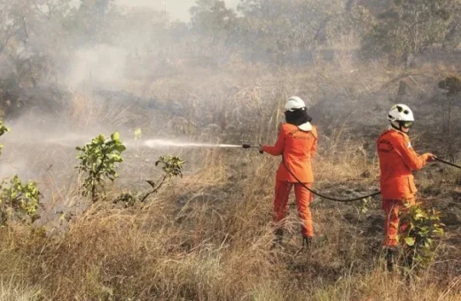 Queimadas em Roraima