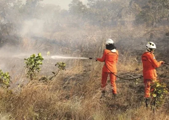 Queimadas em Roraima