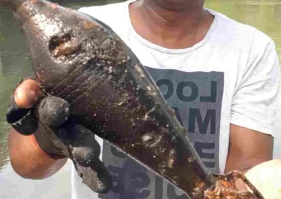 video-homem-pesca-granada-rio-guapore-mt-foto-izaak-soares-gonçalves