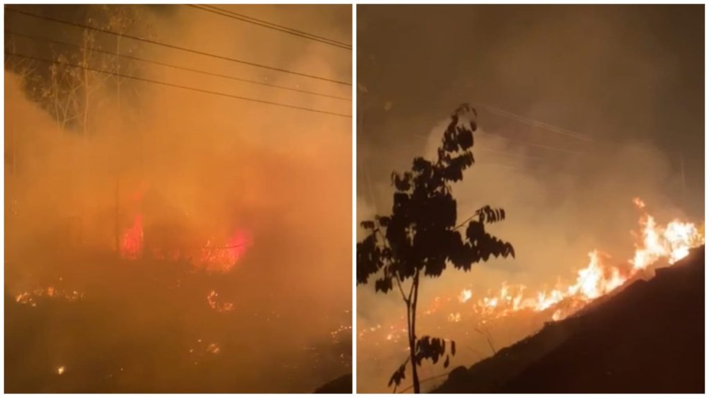 video-incendio-florestal-juruti-velho-para-foto-reproducao-whatsapp