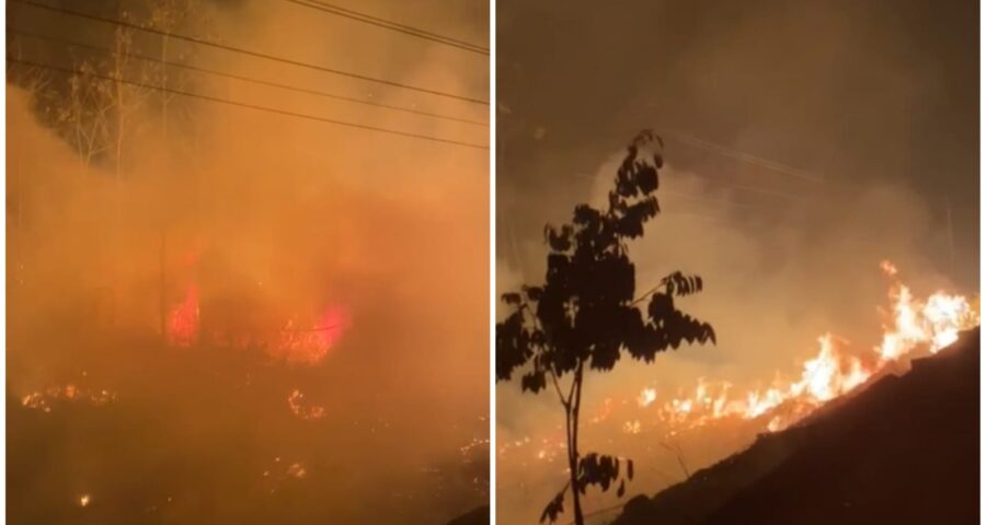 video-incendio-florestal-juruti-velho-para-foto-reproducao-whatsapp