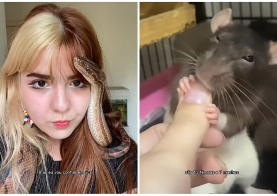 Rotina dos pets é documentada pela influencer no TikTok - Foto: Reprodução/TikTok/@bruna.sunshine