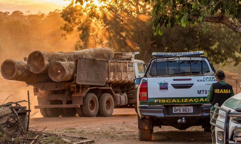 Agentes do Ibama durante apreensão de madeiras extraídas ilegalmente - Foto: Fernando Santos/Ibama