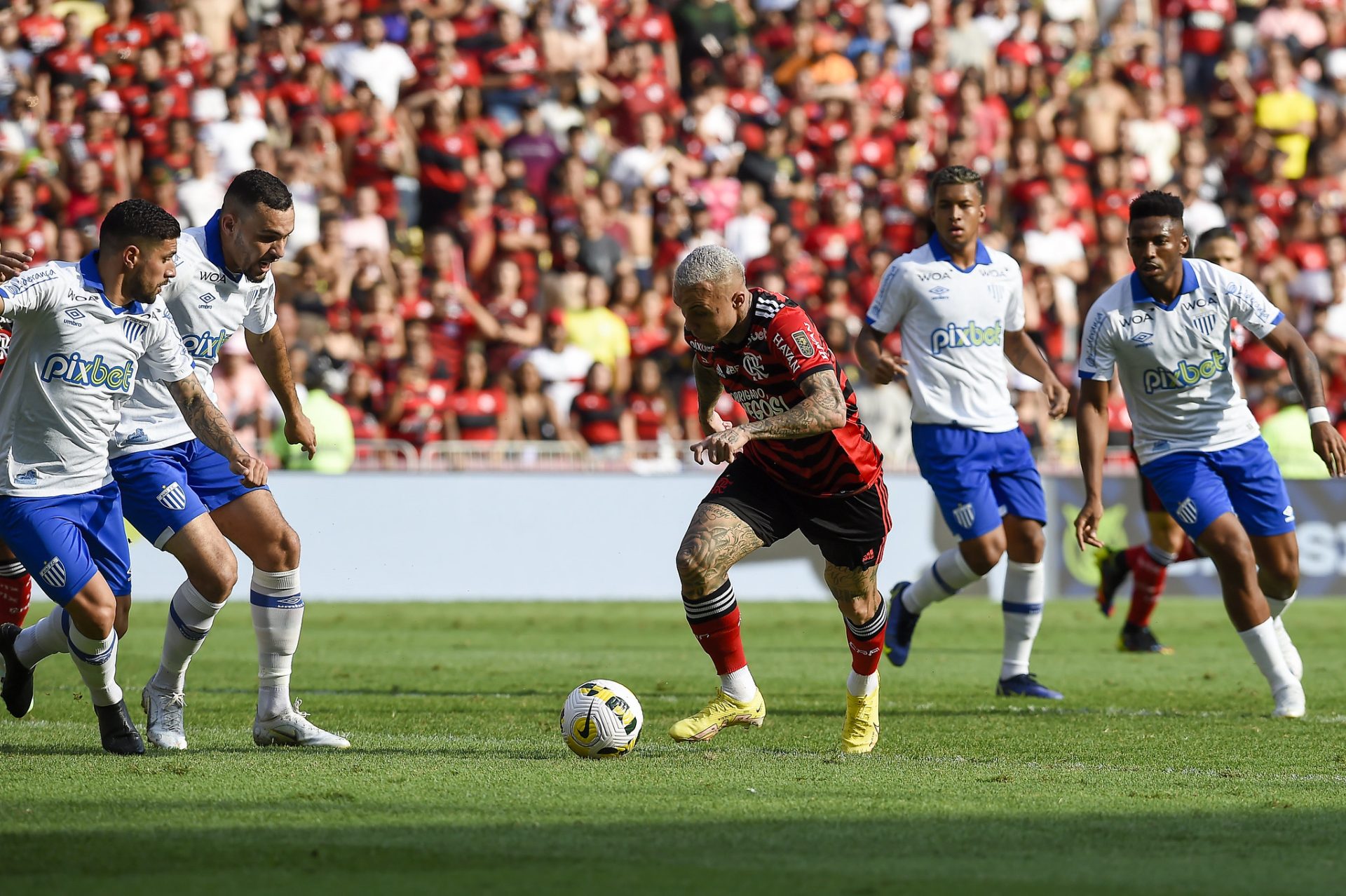 MP-GO faz nova operação contra manipulação de resultados e investiga jogo do Flamengo de 2022 - Foto: Reprodução/Marcelo Cortes / Flamengo