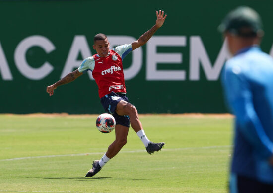 Palmeiras renova contrato de Michel para o fim de 2026 - Foto: Reprodução/Cesar Greco/Palmeiras/by Canon