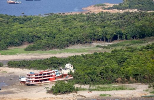 Amazonas propõe desmatamento líquido zero até 2030 para a COP-28