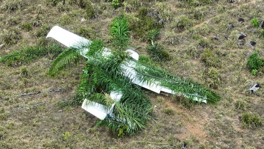 Avião suspeito estava coberto de folhas