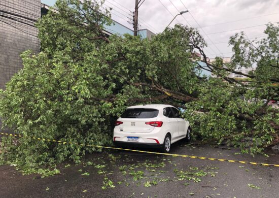 Um motoqueiro ficou ferido e dois carros tiveram danos materiais - Foto: Haliandro Furtado/ Portal Norte