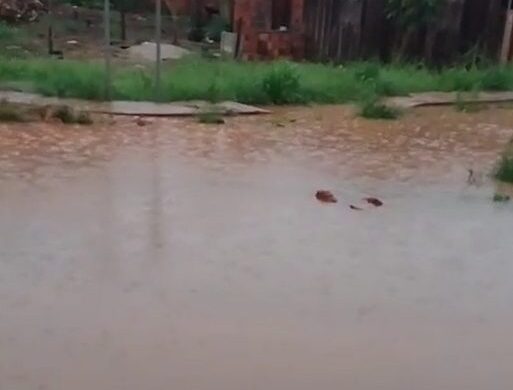 A chuva causou alagamentos em alguns bairros de Manaus - Foto: Reprodução/ Whatsapp