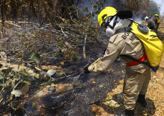 Compaarado a 2022, outubro registra aumento de 156% de focos de calor no AM