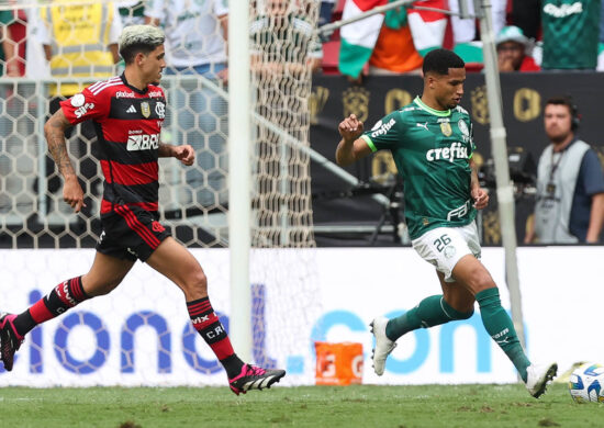 Flamengo e Palmeiras se enfrentam nesta quarta-feira (8) pela 33ª rodada do Brasileirão - Foto: Reprodução/Cesar Greco/Palmeiras/by Canon